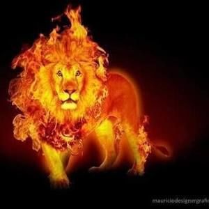 Meet your Posher, Lorena